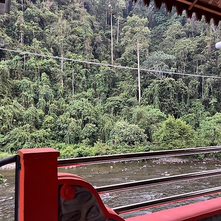 Ridho'S Homestay & Jungle Trekking Bukit Lawang Bagian luar foto