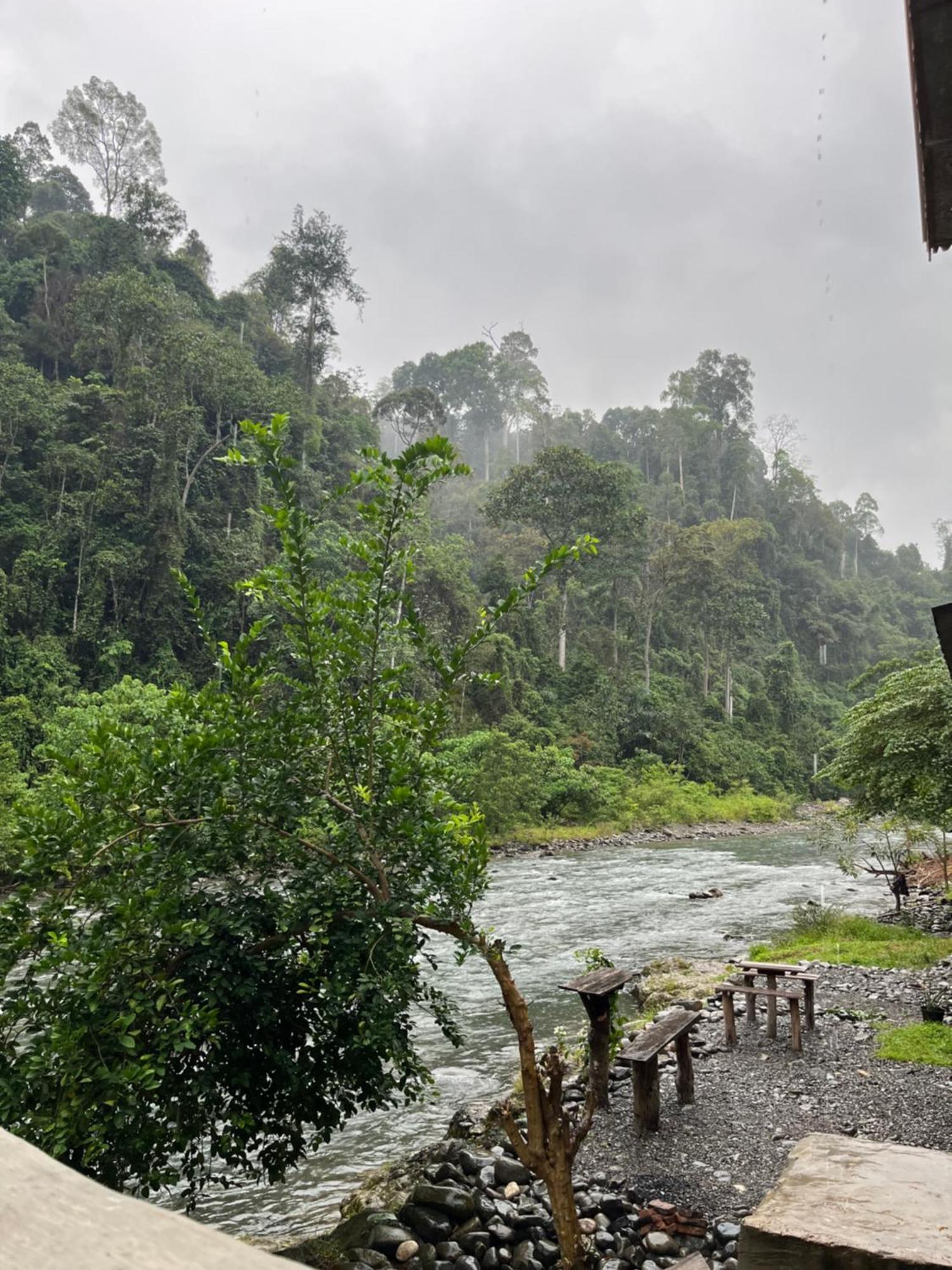 Ridho'S Homestay & Jungle Trekking Bukit Lawang Bagian luar foto