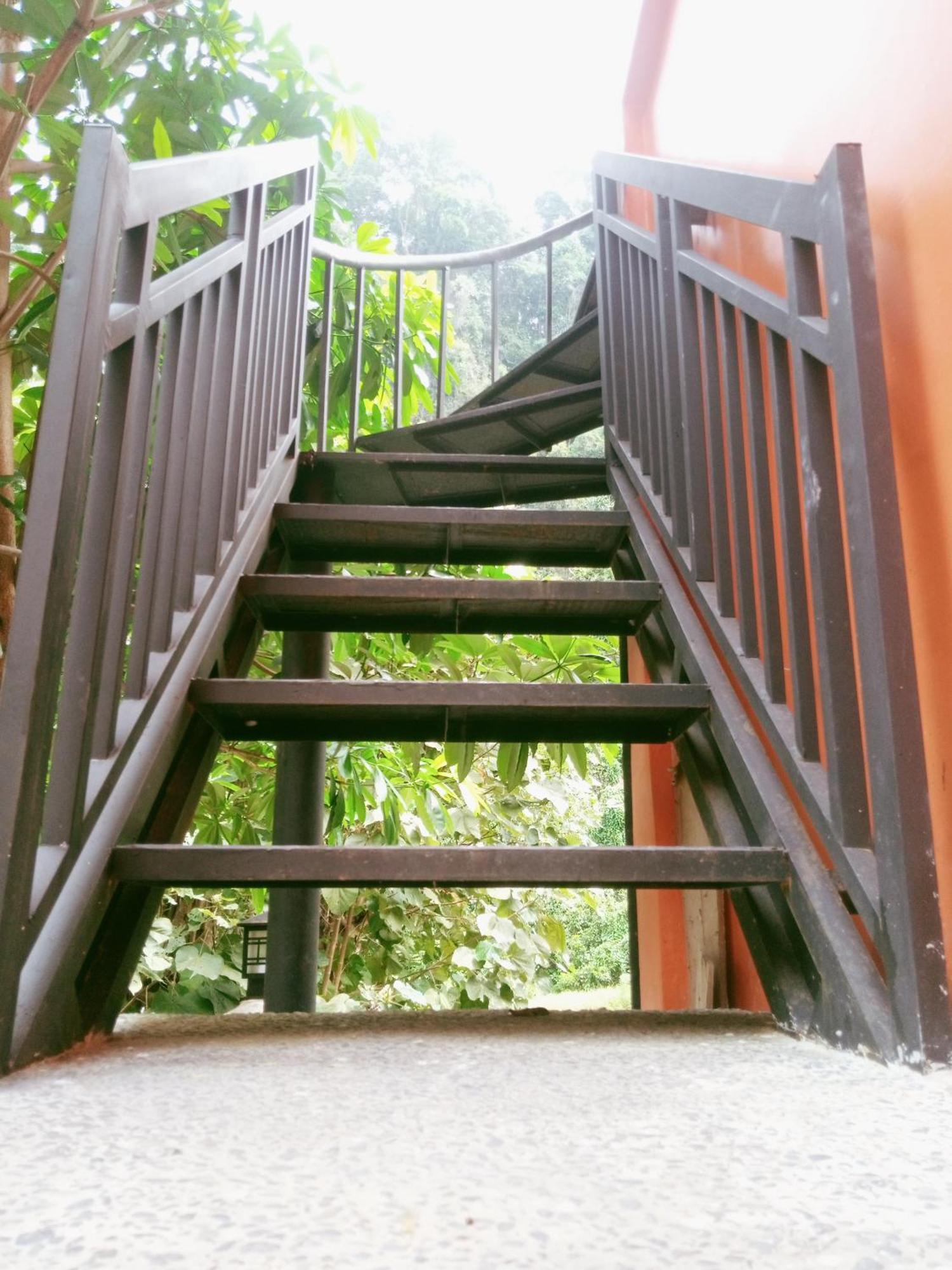 Ridho'S Homestay & Jungle Trekking Bukit Lawang Bagian luar foto