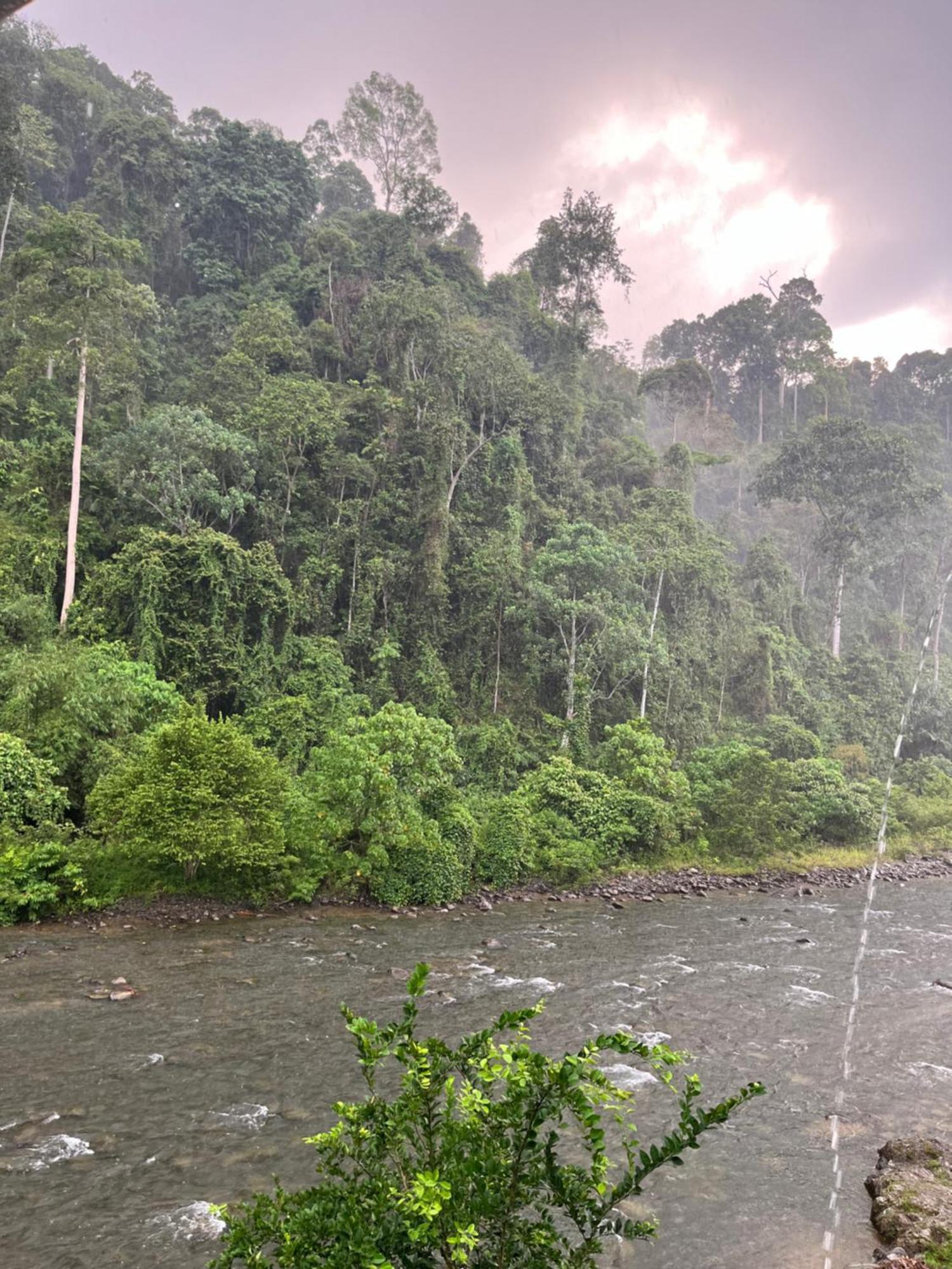 Ridho'S Homestay & Jungle Trekking Bukit Lawang Bagian luar foto