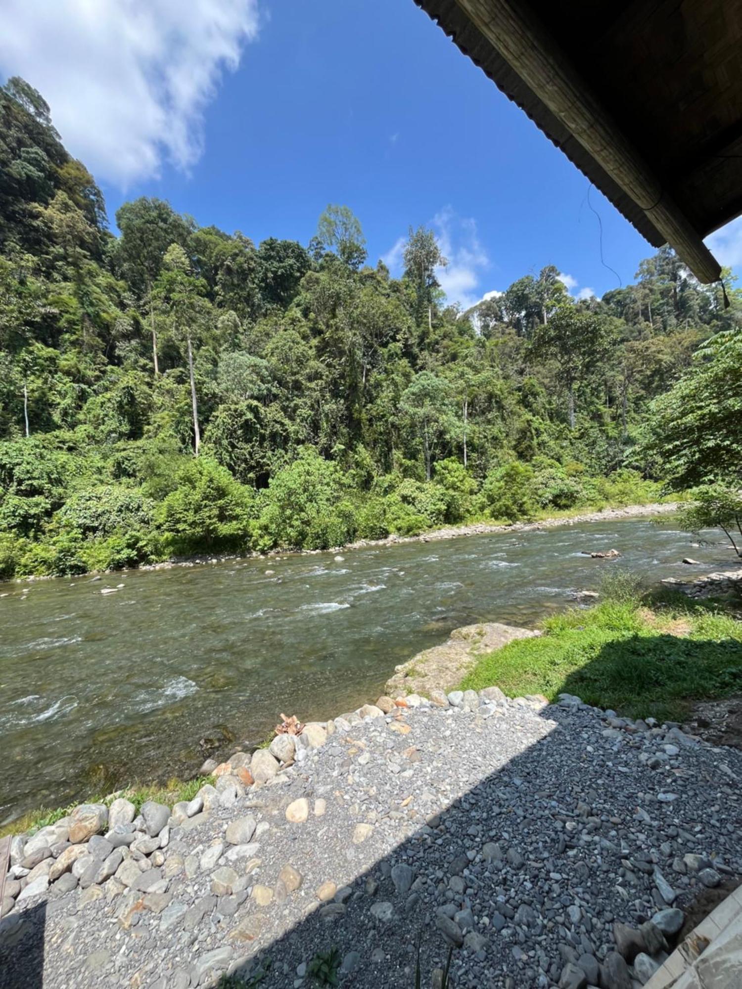 Ridho'S Homestay & Jungle Trekking Bukit Lawang Bagian luar foto