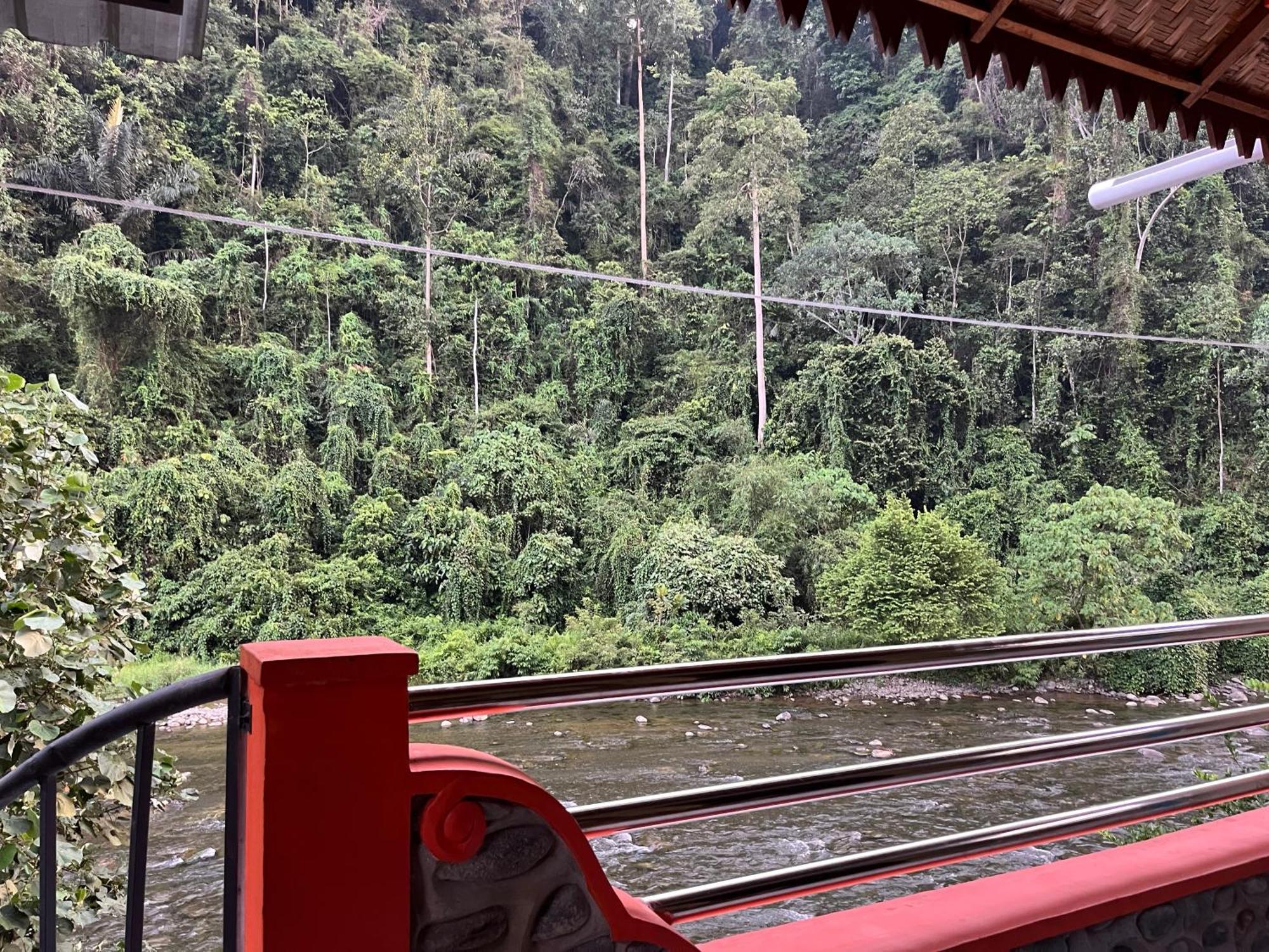 Ridho'S Homestay & Jungle Trekking Bukit Lawang Bagian luar foto